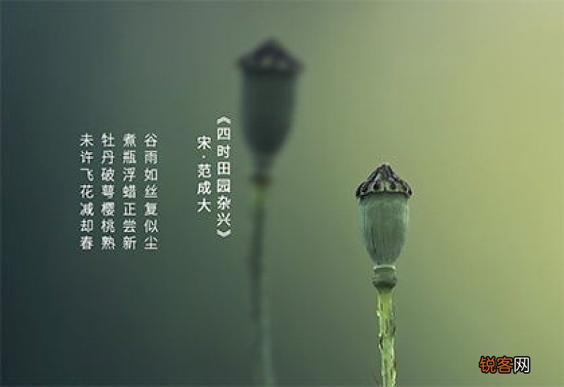 4月20日谷雨结婚好吗2022