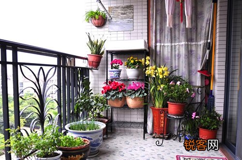 阳台怎么种花最合适？ 阳台怎样种花
