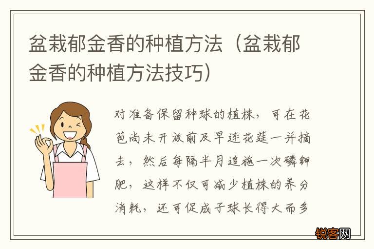 盆栽郁金香的种植方法技巧 盆栽郁金香的种植方法