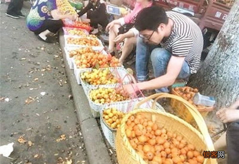枇杷烂了一点还能吃吗