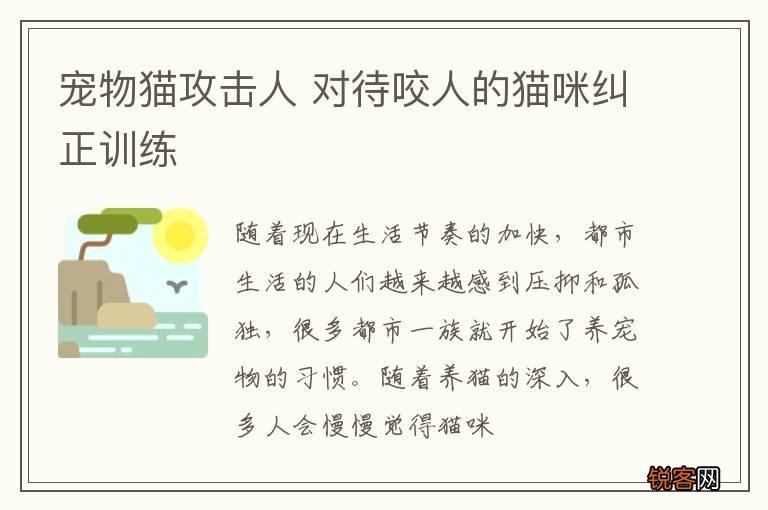 宠物猫攻击人 对待咬人的猫咪纠正训练
