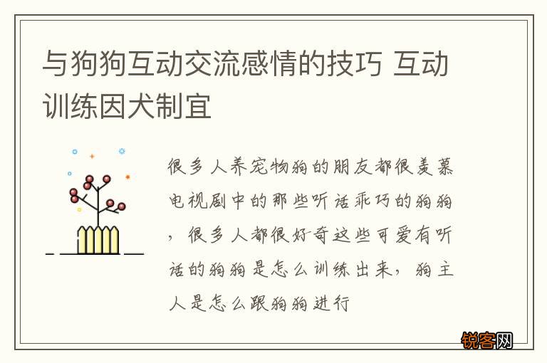 与狗狗互动交流感情的技巧 互动训练因犬制宜