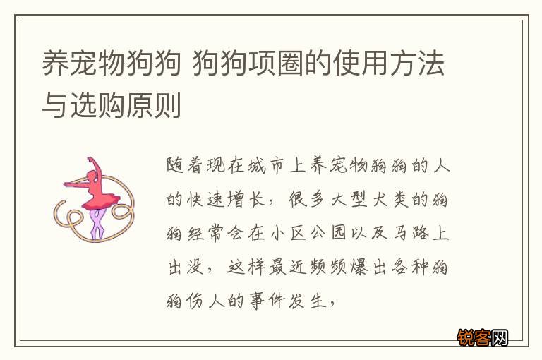 养宠物狗狗 狗狗项圈的使用方法与选购原则