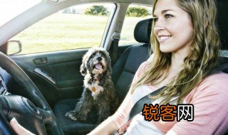 怎么判断车子车身位置