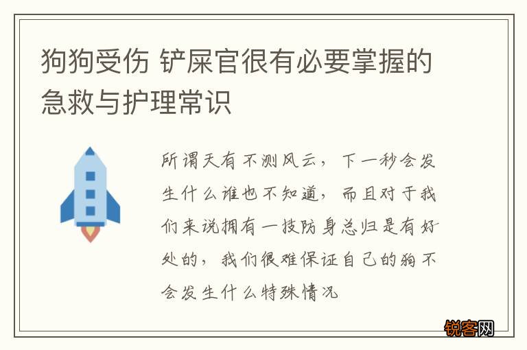 狗狗受伤 铲屎官很有必要掌握的急救与护理常识