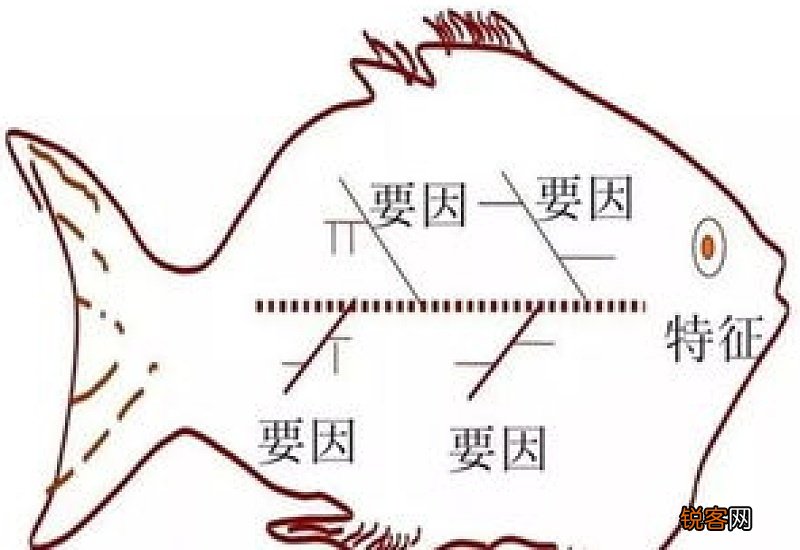 鱼骨图中鱼刺的颜色代表什么?( A感受B能量强度C时间 鱼骨图中鱼刺的颜色代表什么