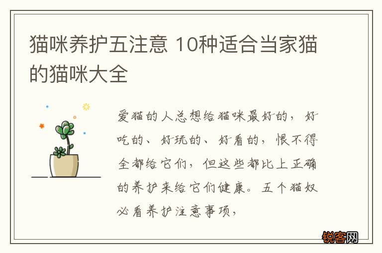 猫咪养护五注意 10种适合当家猫的猫咪大全
