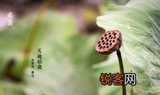 处暑意思 处暑介绍