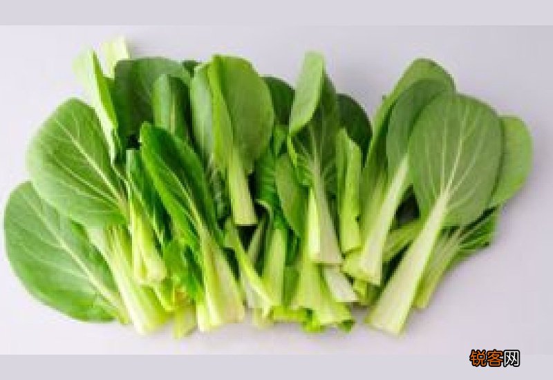 鸡毛菜的功效与作用