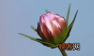 人无千日好花无百日红的意思 人无千日好花无百日红的意思是什么