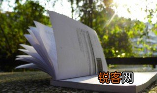 感恩感谢感激的句子 关于感恩的优美句子