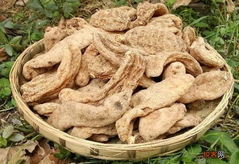 天麻鹅蛋小孩子能吃吗