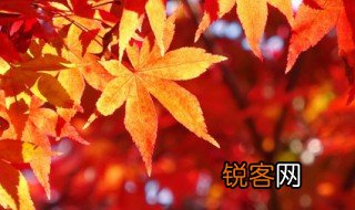 立秋是什么 立秋含义