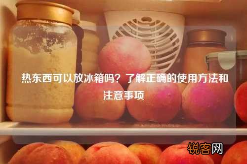 热东西可以放冰箱吗？了解正确的使用方法和注意事项