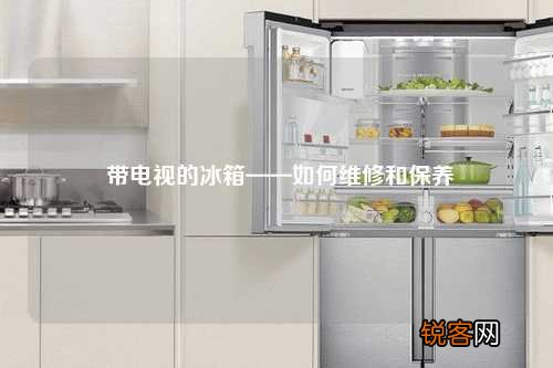 带电视的冰箱——如何维修和保养