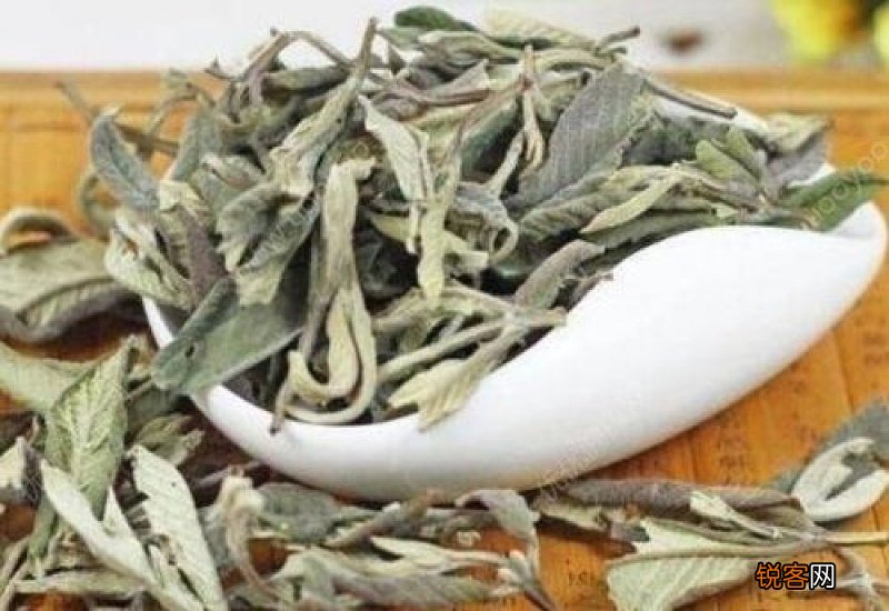 番石榴叶茶有哪些功效 番石榴叶茶有副作用吗