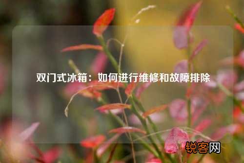 双门式冰箱：如何进行维修和故障排除