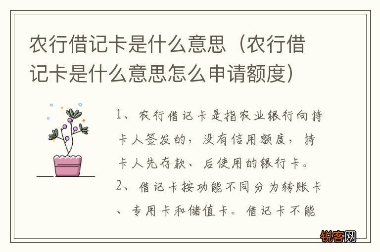 农行借记卡是什么意思怎么申请额度 农行借记卡是什么意思