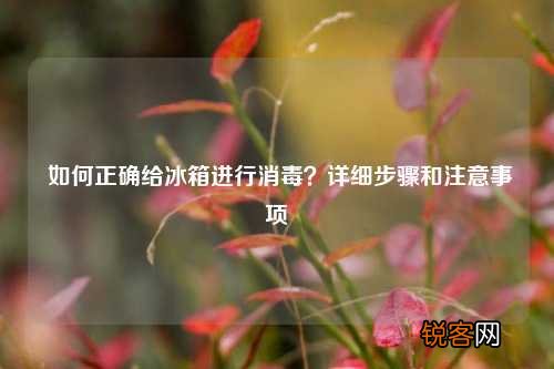 如何正确给冰箱进行消毒？详细步骤和注意事项