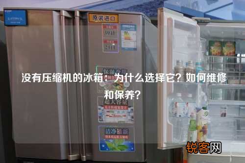 没有压缩机的冰箱：为什么选择它？如何维修和保养？