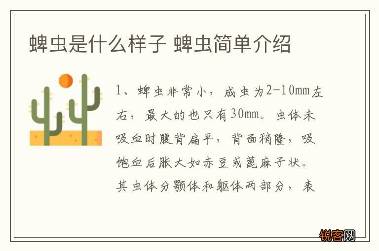 蜱虫是什么样子 蜱虫简单介绍
