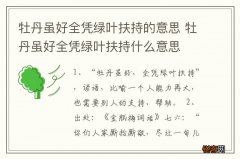 牡丹虽好全凭绿叶扶持的意思 牡丹虽好全凭绿叶扶持什么意思