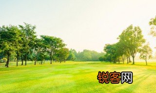 什么是储备土地 储备土地的解释