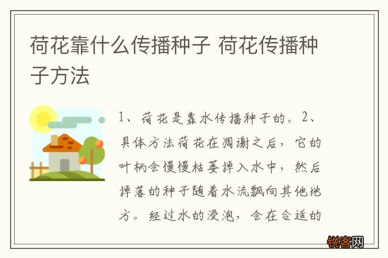 荷花靠什么传播种子 荷花传播种子方法