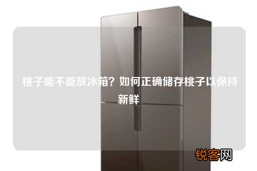桃子能不能放冰箱？如何正确储存桃子以保持新鲜