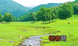 小兴安岭夏天的特点是什么 小兴安岭夏天的特点