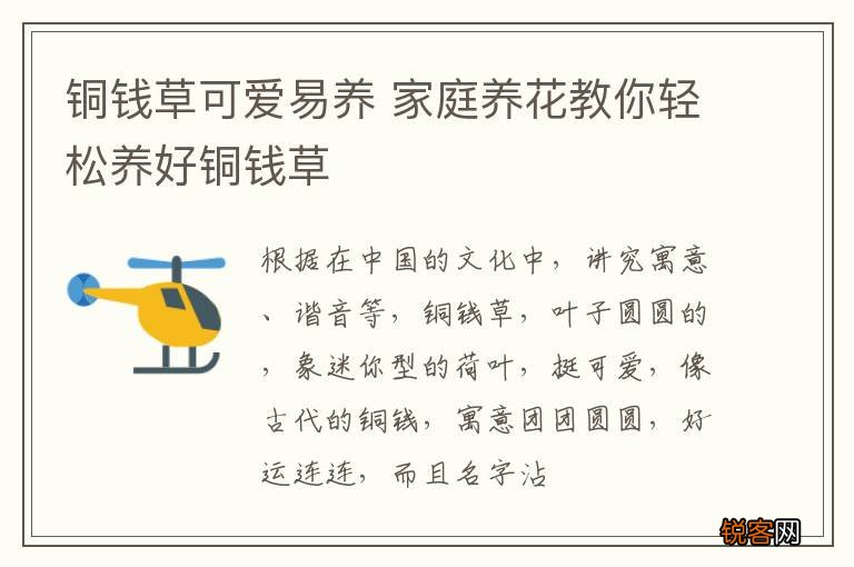 铜钱草可爱易养 家庭养花教你轻松养好铜钱草