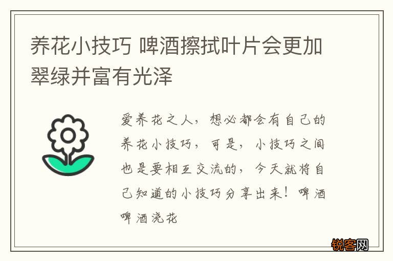 养花小技巧 啤酒擦拭叶片会更加翠绿并富有光泽