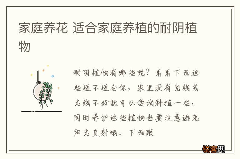 家庭养花 适合家庭养植的耐阴植物