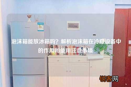 泡沫箱能放冰箱吗？解析泡沫箱在冷藏设备中的作用和使用注意事项