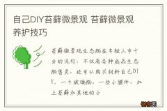自己DIY苔藓微景观 苔藓微景观养护技巧