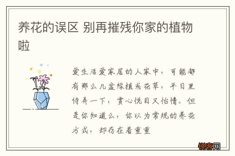 养花的误区 别再摧残你家的植物啦