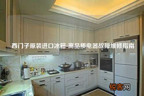 西门子原装进口冰箱-高品质电器故障维修指南
