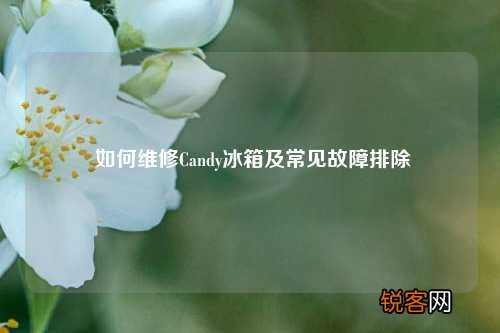 如何维修Candy冰箱及常见故障排除