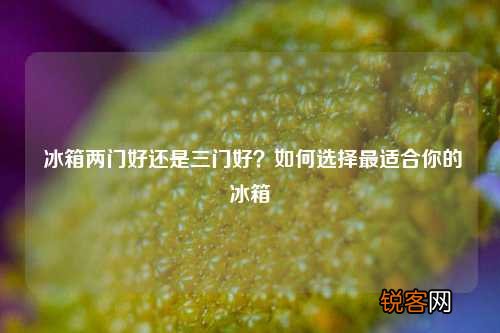 冰箱两门好还是三门好?如何选择最适合你的冰箱