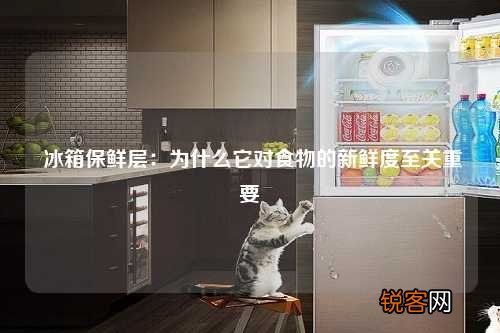 冰箱保鲜层：为什么它对食物的新鲜度至关重要