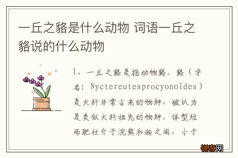 一丘之貉是什么动物 词语一丘之貉说的什么动物