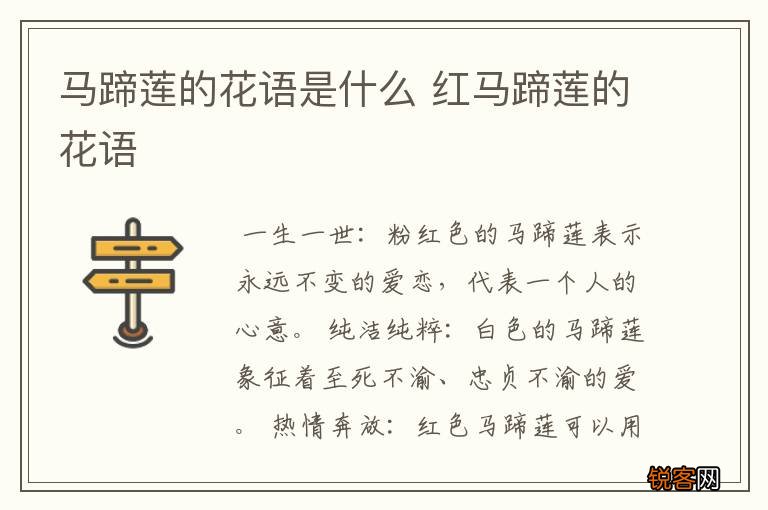 马蹄莲的花语是什么 红马蹄莲的花语