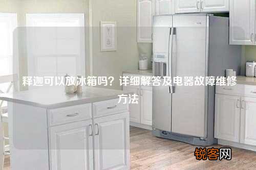 释迦可以放冰箱吗？详细解答及电器故障维修方法