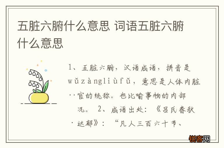 五脏六腑什么意思 词语五脏六腑什么意思