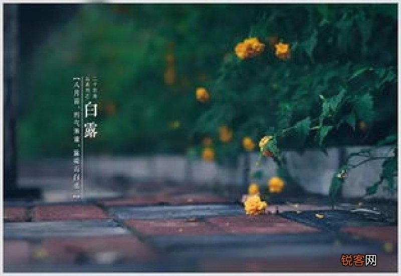 白露节气还有蝉鸣吗