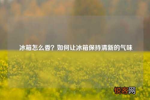 冰箱怎么香？如何让冰箱保持清新的气味