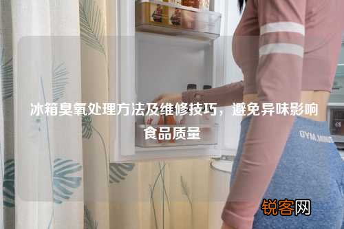 冰箱臭氧处理方法及维修技巧，避免异味影响食品质量