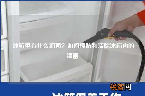 冰箱里有什么细菌？如何预防和清除冰箱内的细菌