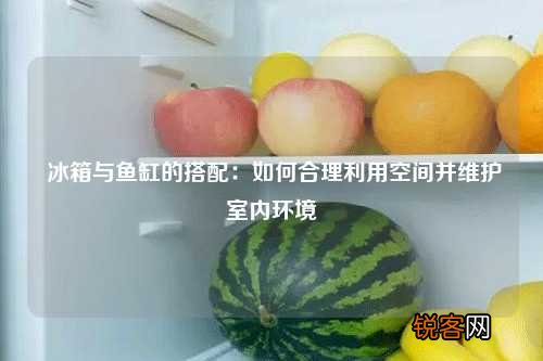 冰箱与鱼缸的搭配：如何合理利用空间并维护室内环境