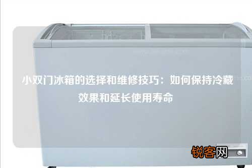 小双门冰箱的选择和维修技巧：如何保持冷藏效果和延长使用寿命